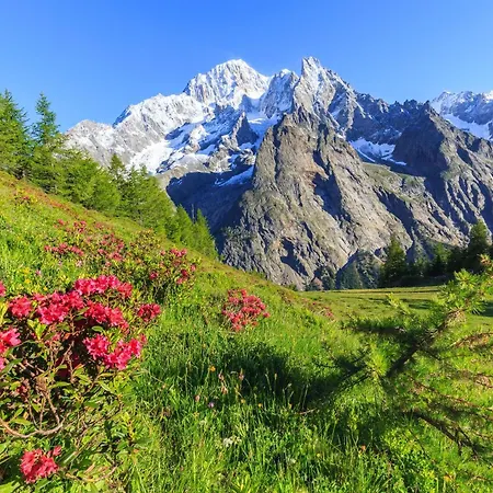 Daire Lovely In - Happy Courmayeur
